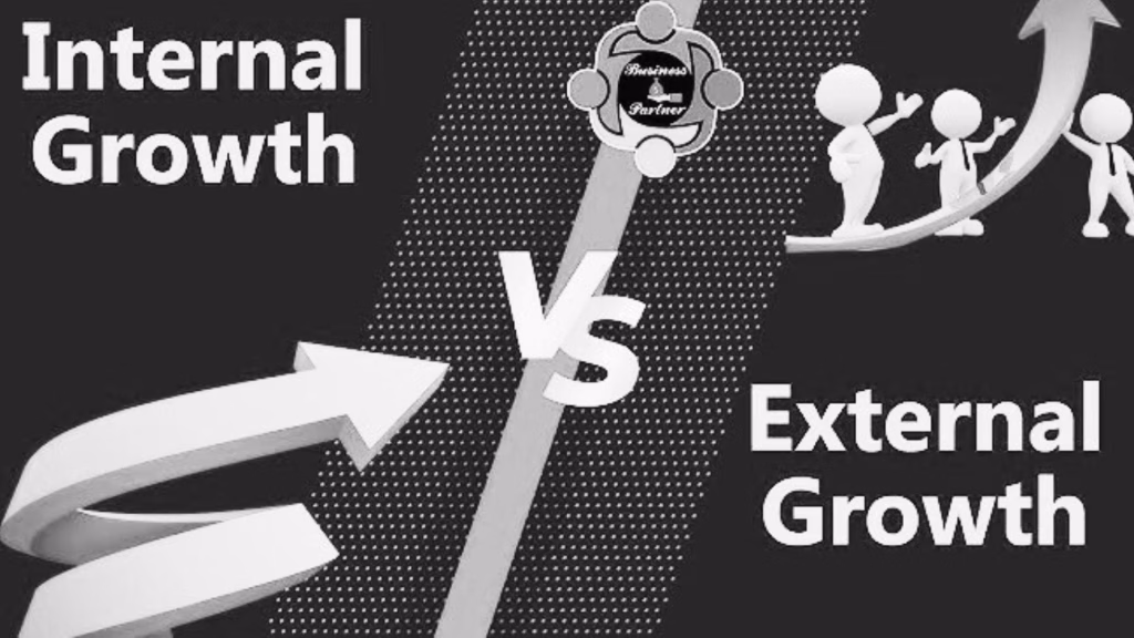 Internal vs External Growth Strategies